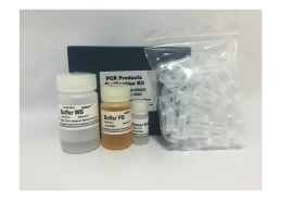 Kit De Purificação De Produtos De PCR Em Coluna - 100 Reações - Biotec